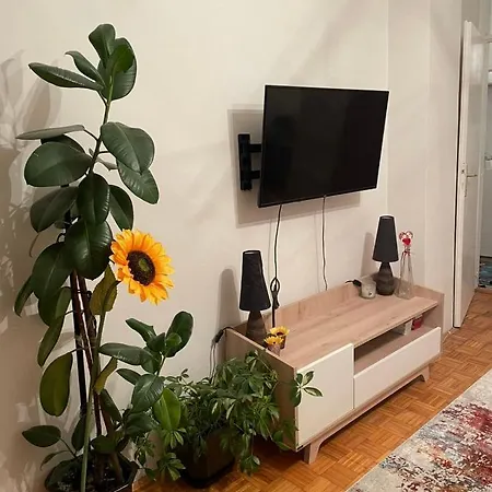 Apartment Feel Like Sarajevo